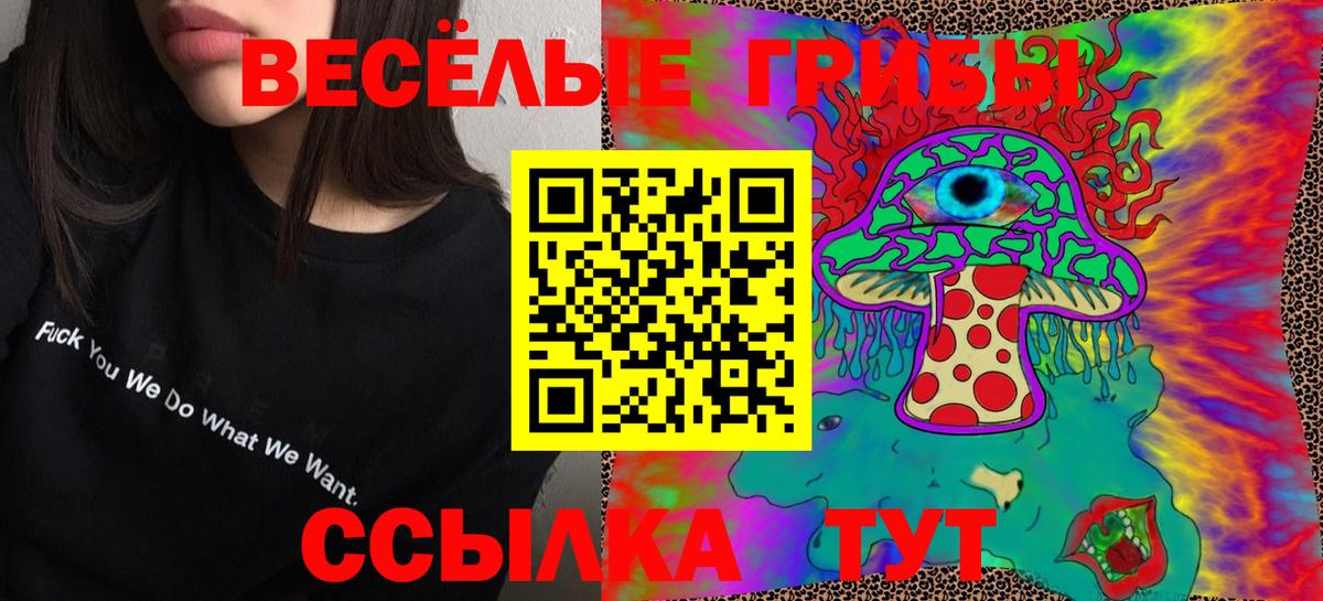 Галлюциногенные грибы мицелий Изобильный