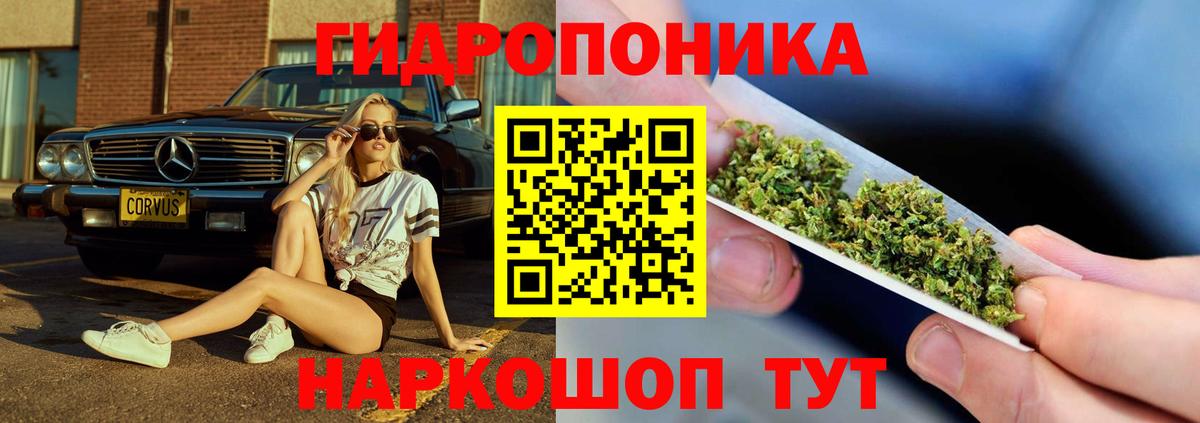Канабис AK-47 Изобильный